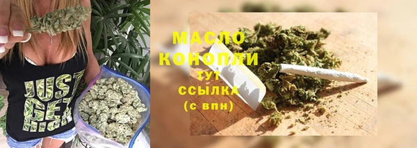 прущий лед Пересвет