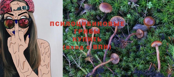 крисы Переславль-Залесский